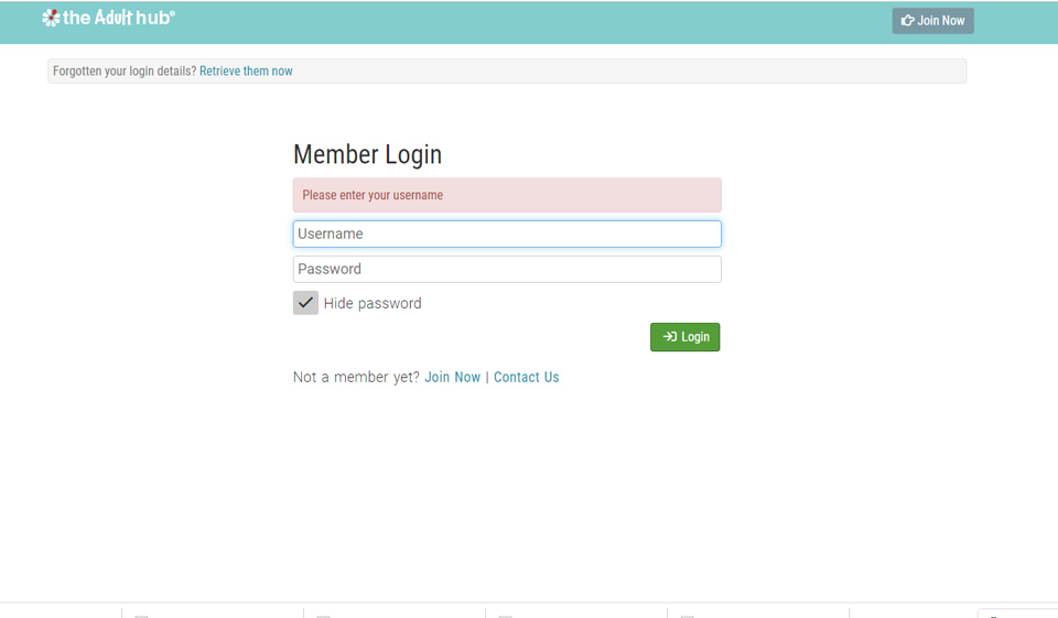 The Adult Hub Review in 2020