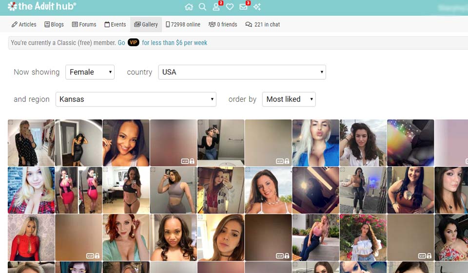 Is The Adult Hub a Hookup App?