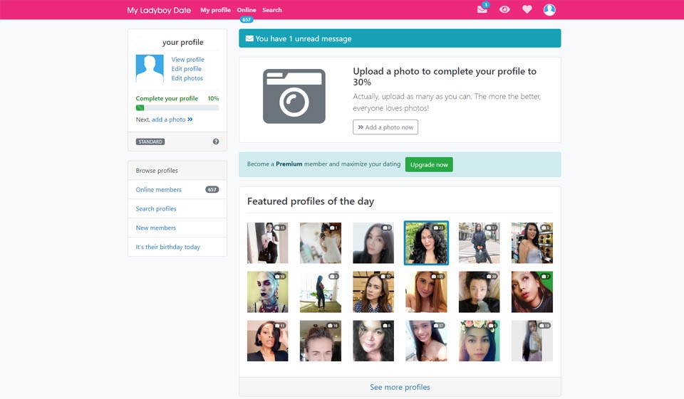 MyLadyBoyDate Review in 2020