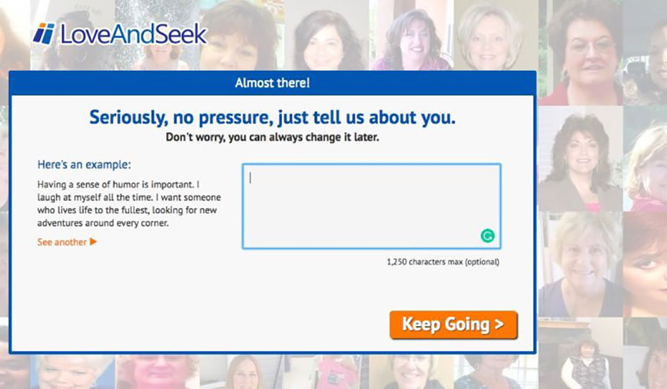 LoveAndSeek About Website Design & Usability