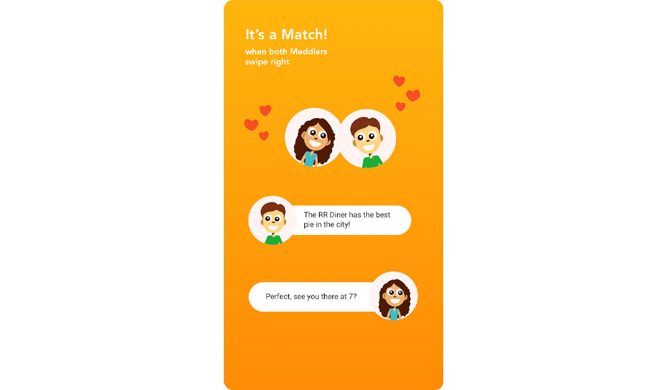 Meddle Why Can't I Access Meddle