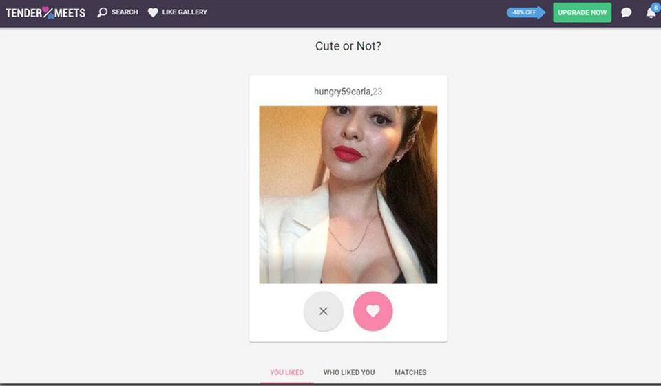 TenderMeets Special Features