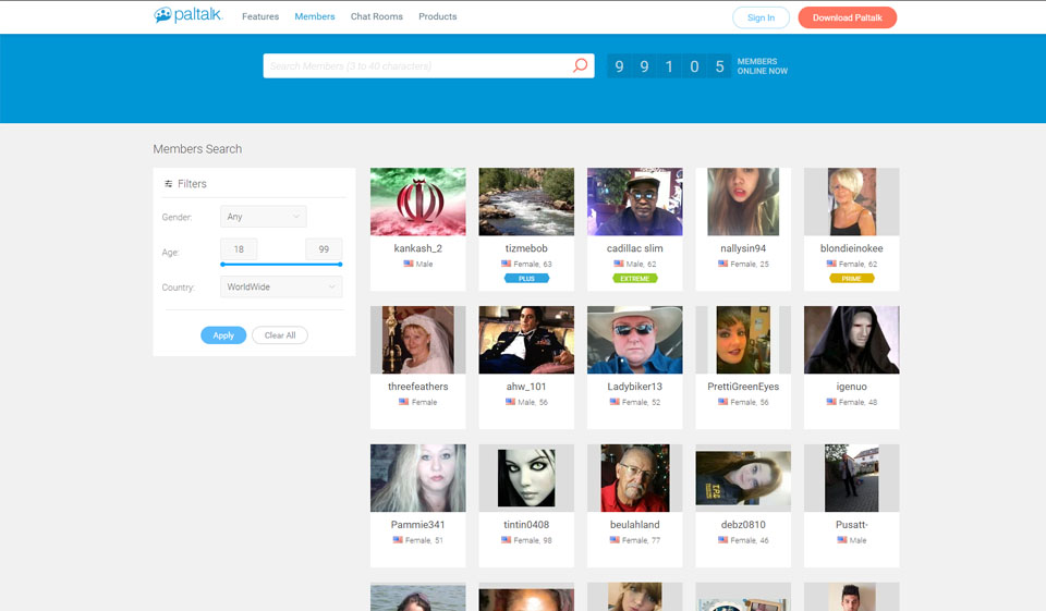 Website Design and Usability