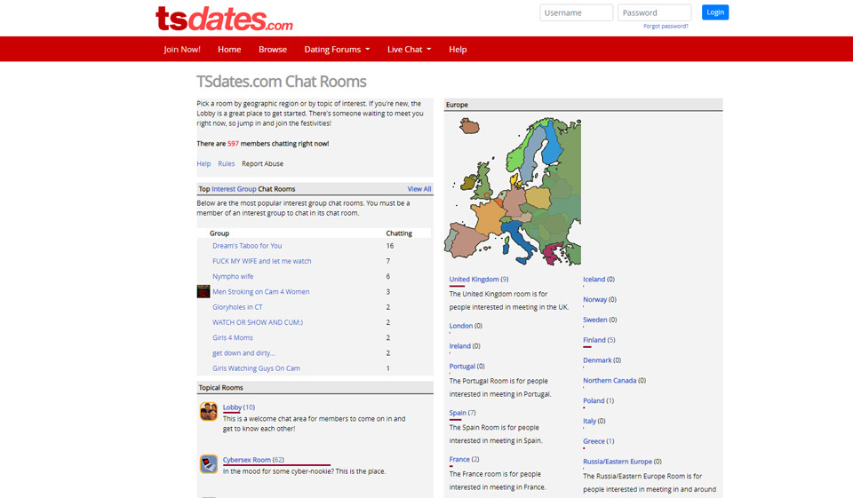 How Does The TS Dates Website Work?