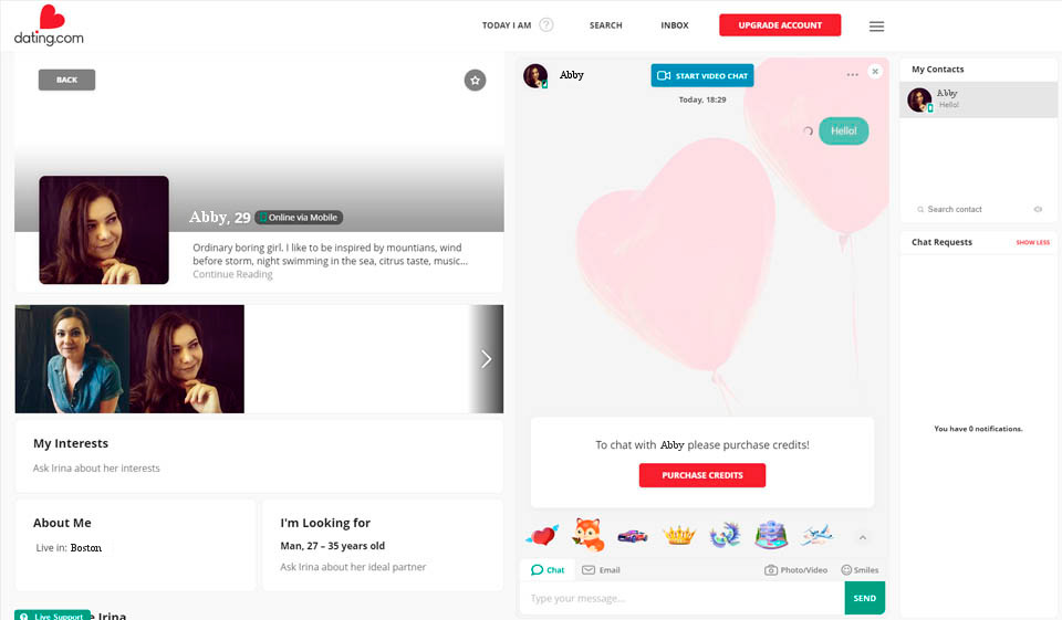 Why the Website Is Not Loading?