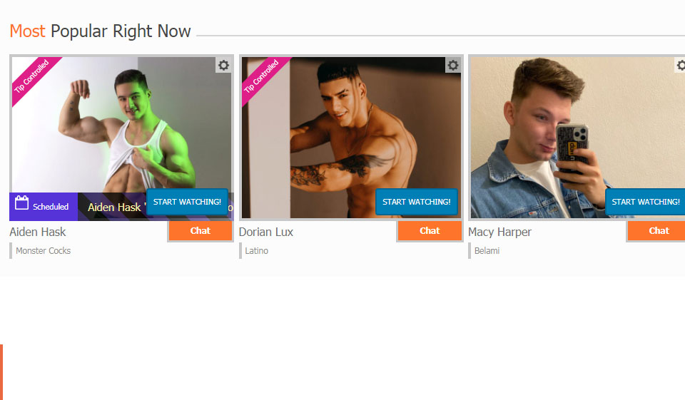 Why Am I Having a Hard Time Entering the Site?