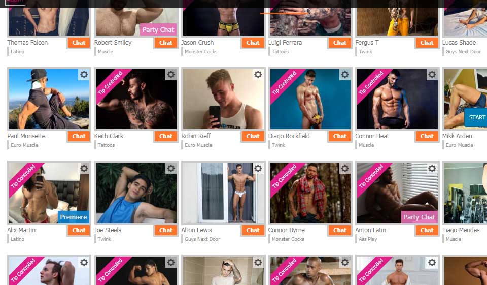 How Do I Use the Camera On Adam4Adam?