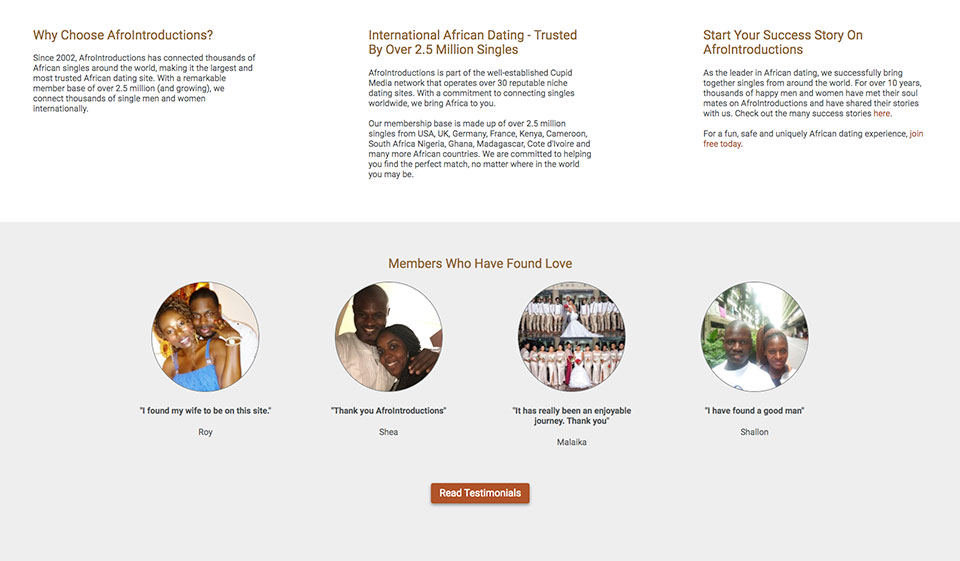 What are the Different Filters Used on the AfroIntroductions Search?