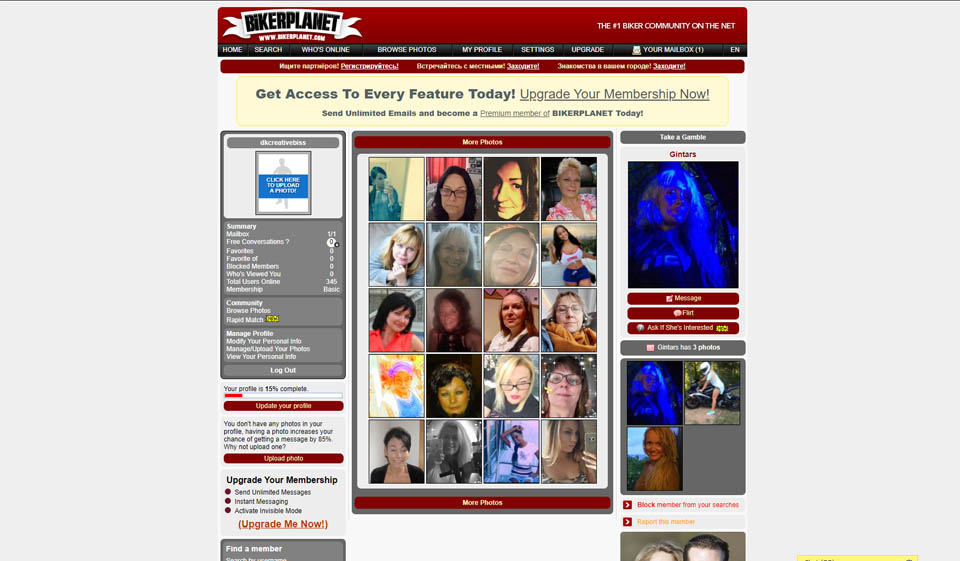 Partially Descriptive User Profiles