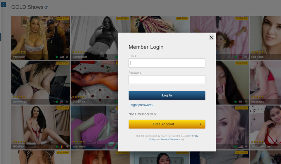 Why Can't I Access IMeetZu?
