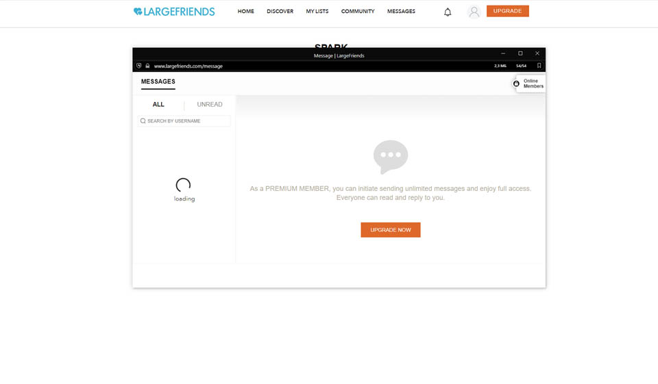 Which information shouldn't be posted in your LargeFriends.com Account?