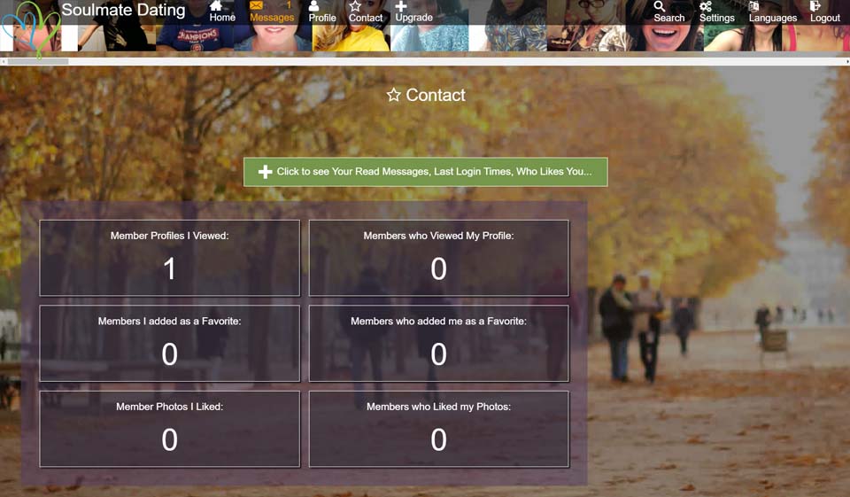 How Many Users Does Soulmates Have Globally?