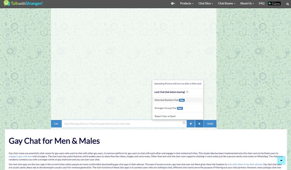 How Does TalkWithStranger Work
